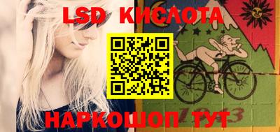 прущие грибы Ирбит