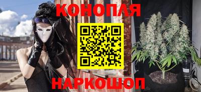 прущие грибы Ирбит