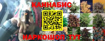 соль ск Ипатово